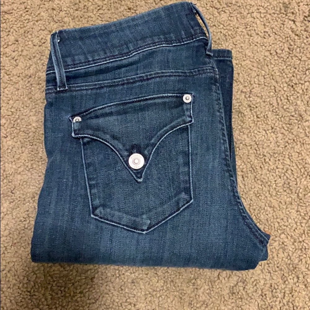 Size 27 Skinny Hudson Jeans